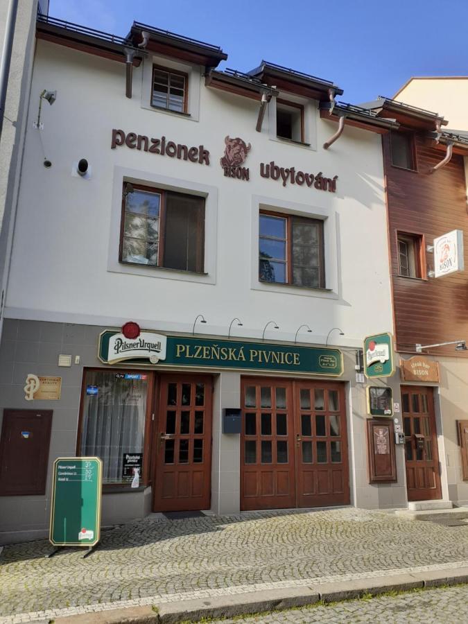 Ubytovani Nad Bisonem Hlinsko Eksteriør billede